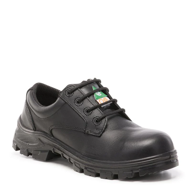 Albany Men's Composite Toe Safety Shoes 835235/R835BK